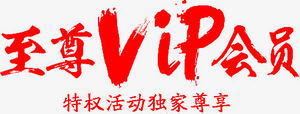 艺术字-至尊VIP会员字体设计